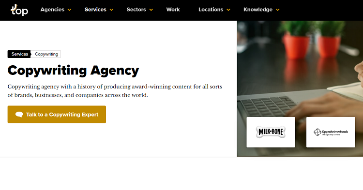 Top Content Agency landing page