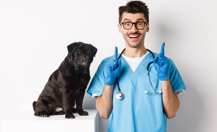 Veterinary blog ideas